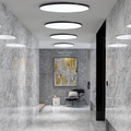 The Halo Light